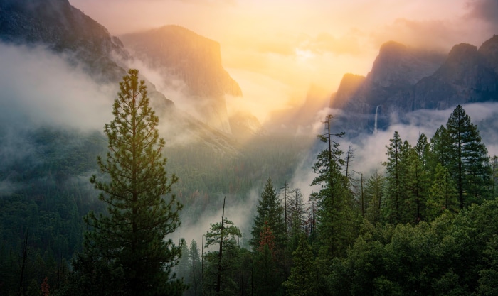 Yosemite National Park 4K California Mountain Landscape
