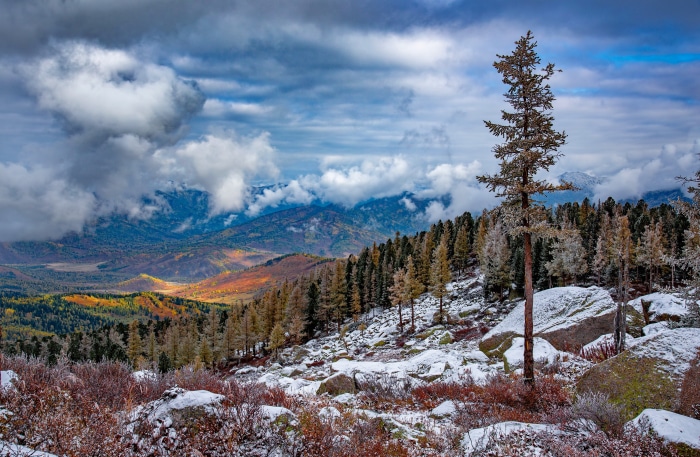 Mountain landscape with snow and autumn foliage