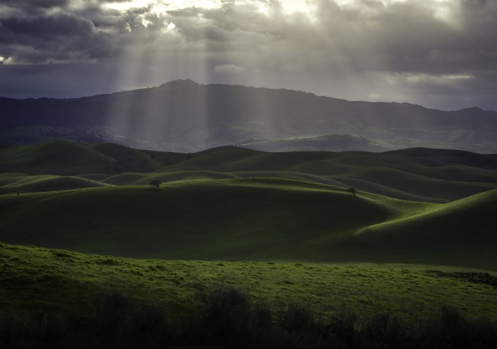 Sunbeams over rolling green hills in California
