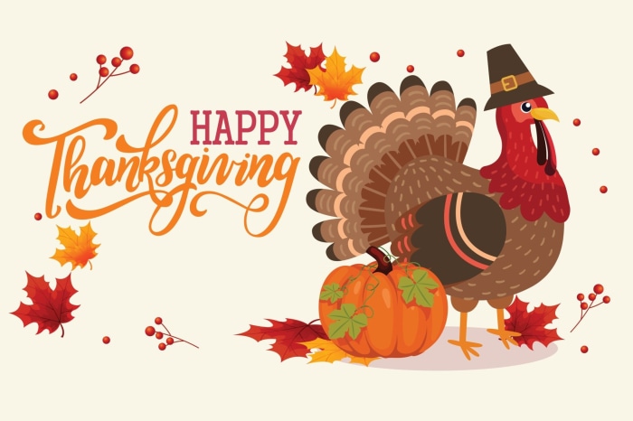 Happy Thanksgiving Turkey and Pumpkin Illustration