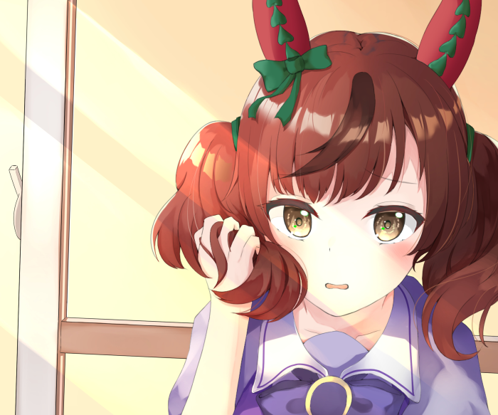 Nice Nature from Uma Musume: Pretty Derby