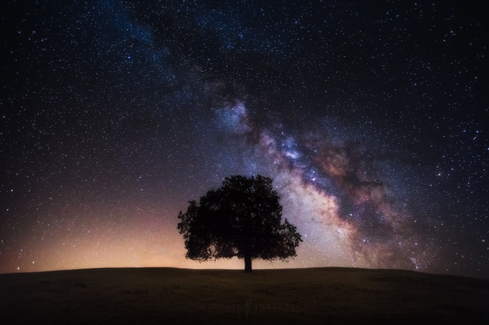 Tree under the Milky Way