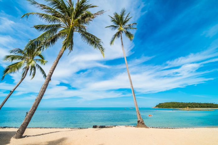 Tropical beach with palm trees and blue sky