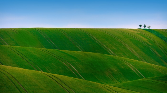 Green rolling hills under a clear blue sky