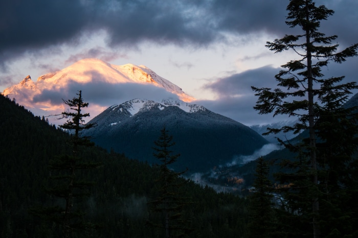 Mount Rainier with clouds and trees