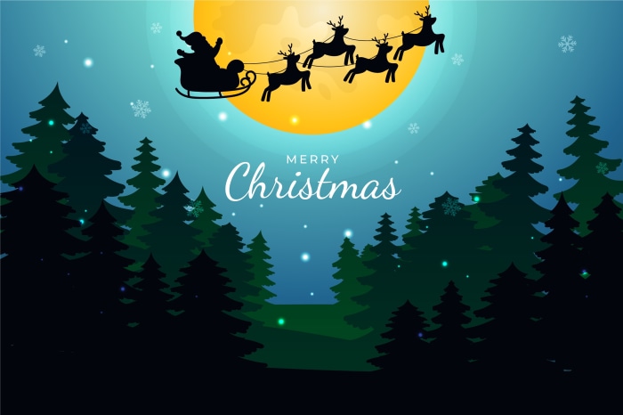 Merry Christmas Santa Sleigh