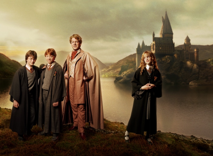 Harry Potter, Ron Weasley, Hermione Granger, and Gilderoy Lockhart