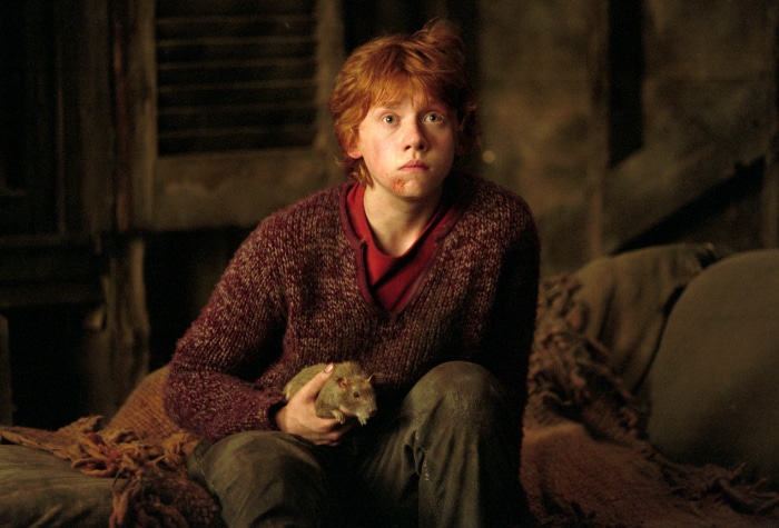 Ron Weasley holding Scabbers from Harry Potter