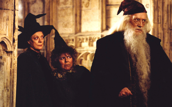 Minerva McGonagall, Pomona Sprout, and Albus Dumbledore from Harry Potter