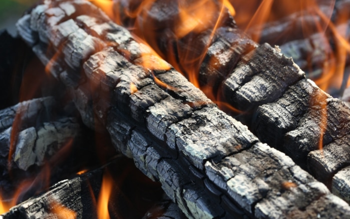 Close-up of burning logs with flames