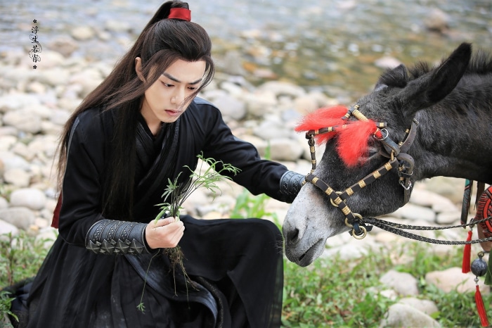 Wei Wuxian from The Untamed with a donkey