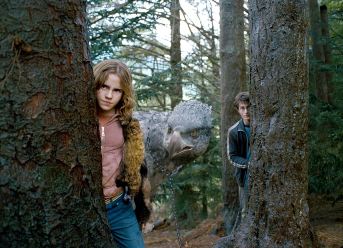 Hermione Granger and Harry Potter with Buckbeak in forest