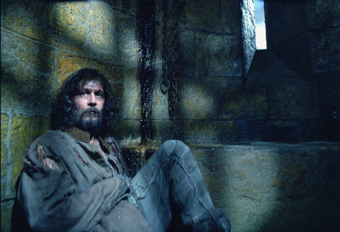 Sirius Black from Harry Potter in Azkaban