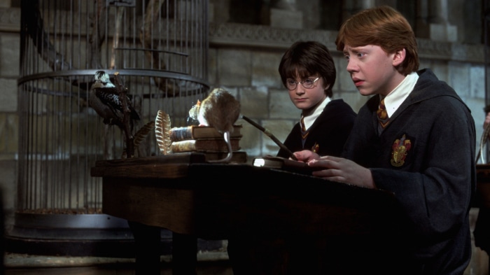 Harry Potter and Ron Weasley with Scabbers and an owl