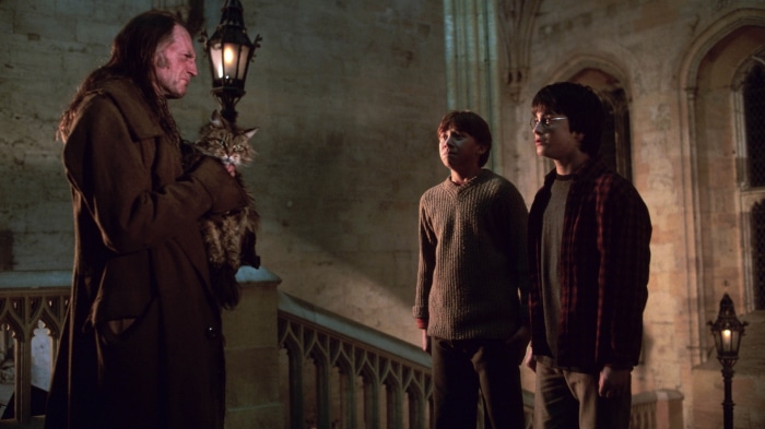 Argus Filch with cat and Harry Potter, Ron Weasley