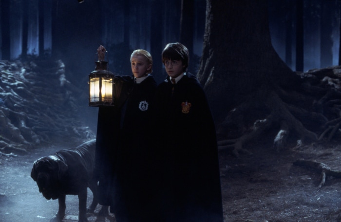 Draco Malfoy and Harry Potter in a dark forest with a dog