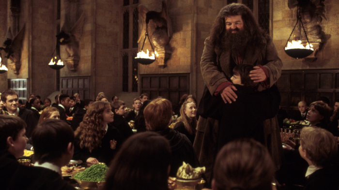 1316839 Hagrids Return Ginny Weasley Rubeus Hagrid Robbie Coltrane Daniel Radcliffe 8286