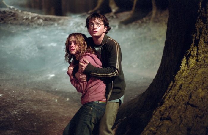 Harry Potter and Hermione Granger in a forest