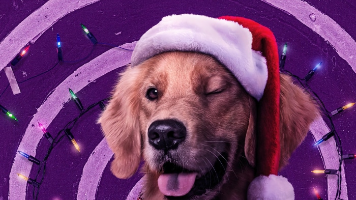 Lucky the Pizza Dog from Hawkeye 4K