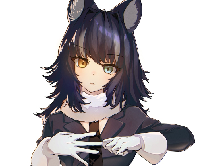 Grey Wolf from Kemono Friends with Heterochromia