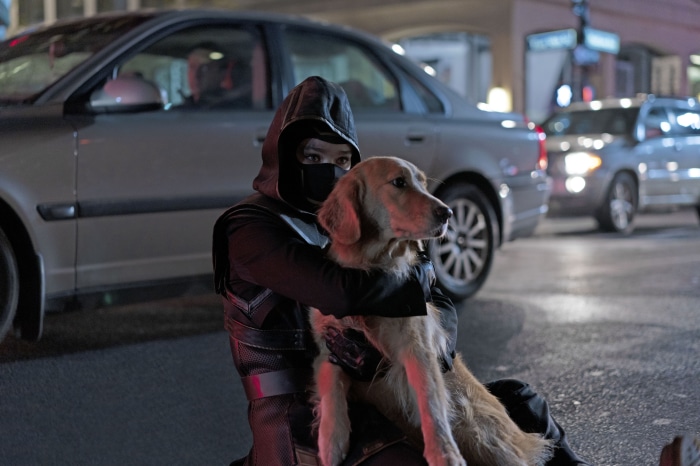 Kate Bishop and Lucky the Pizza Dog from Hawkeye 4K