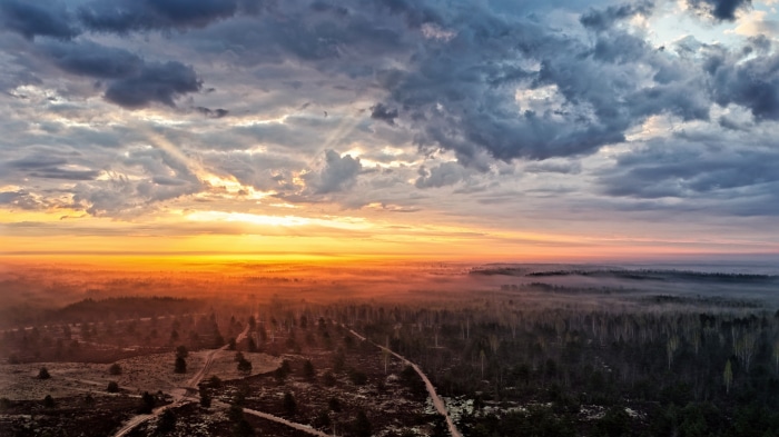 Sunset over a misty forest landscape in Lithuania