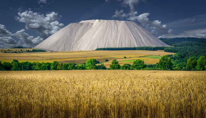 Wheat field in front of a large salt mountain in Germany 4K