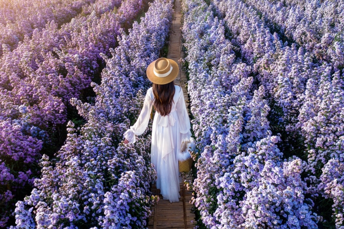 Woman in white dress walking through purple flowers
