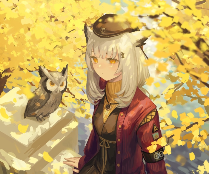 Ptilopsis from Arknights with an owl