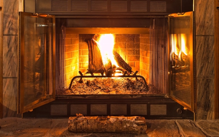 Fireplace with burning logs and glass doors