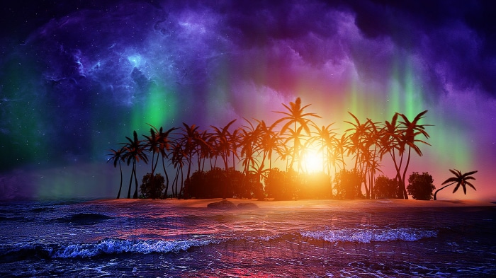 Island with palm trees under Aurora Borealis at sunset