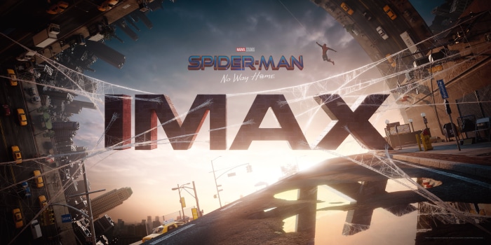 Spider-Man: No Way Home IMAX Poster