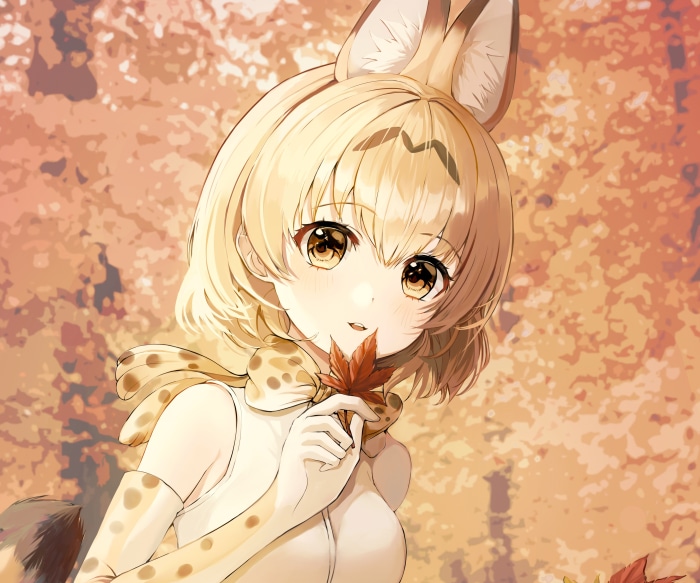 Serval from Kemono Friends 4K