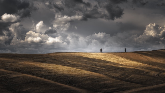 Rolling hills with two cypress trees under stormy clouds