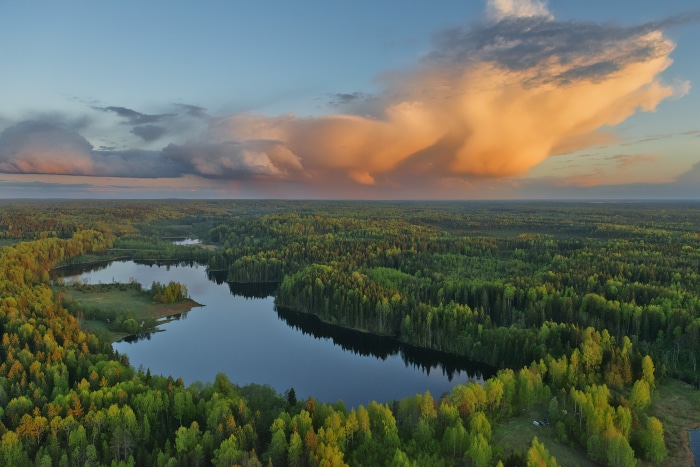 Aerial view of a forest lake at sunset