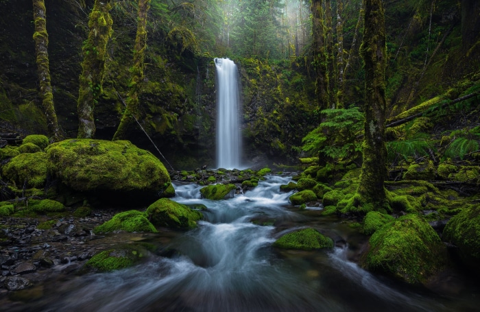 Mossy Forest Waterfall with Flowing Stream