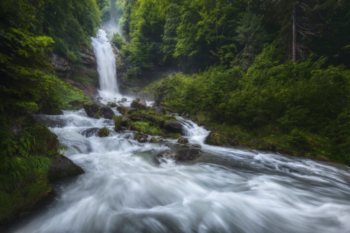 Waterfall and River in a Forest
