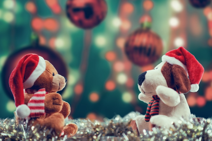 Christmas teddy bear and dog with Santa hats