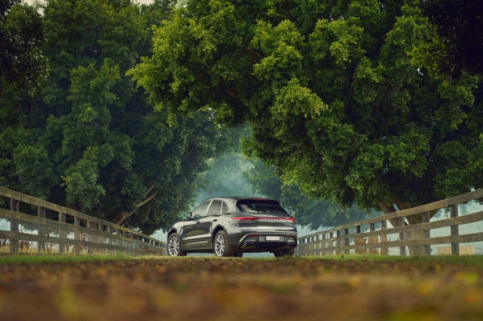 Porsche Macan SUV on a tree-lined road