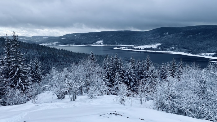 Winter landscape with snow-covered trees and a lake