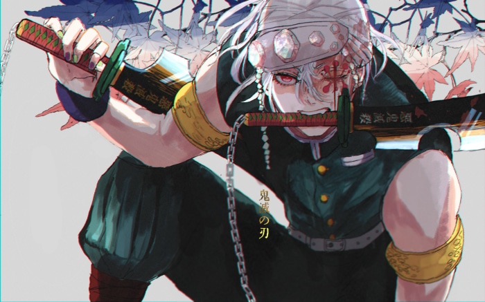Tengen Uzui from Demon Slayer: Kimetsu No Yaiba