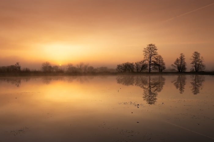 Misty sunrise reflection on Narew river in Poland