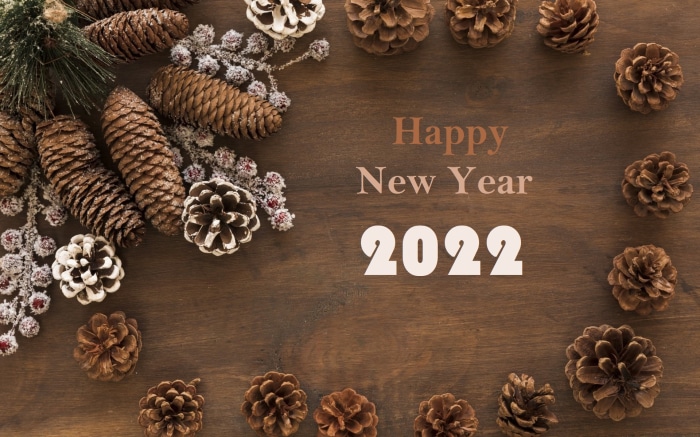 Happy New Year 2022 Pine Cones
