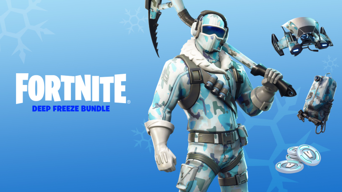 Fortnite Deep Freeze Bundle Character and Items