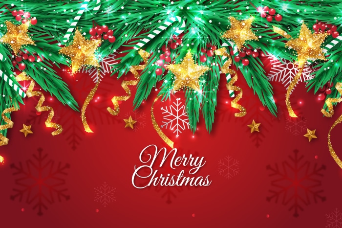 Merry Christmas festive background with fir branches and stars