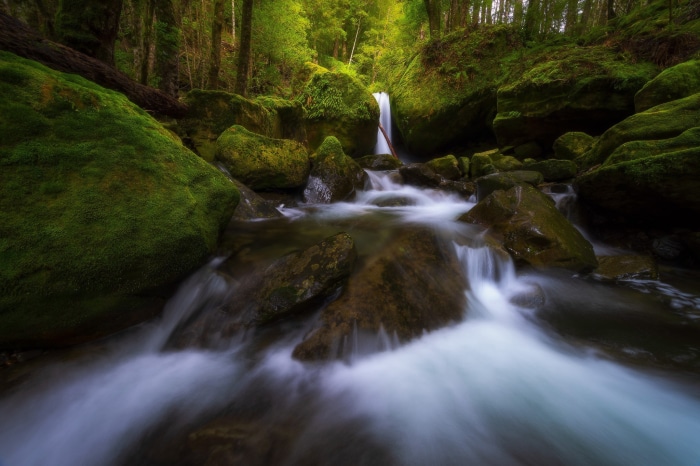Mossy rocks and a waterfall in a forest stream