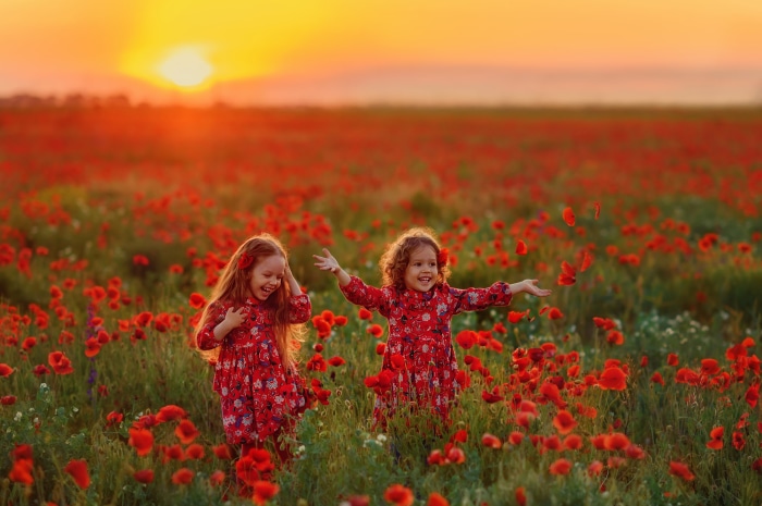 Two young girls in a poppy field at sunset