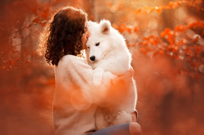 Girl kissing a Samoyed dog in autumn