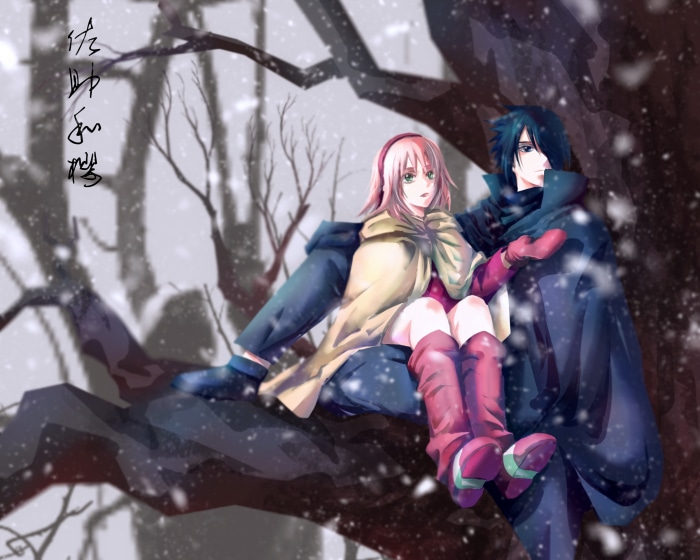 Sakura and Sasuke from Naruto sitting on a tree branch in the snow