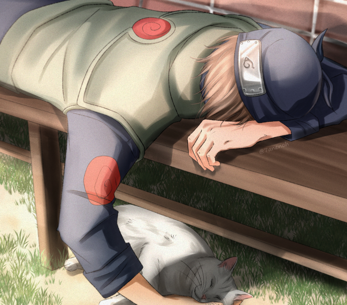 Kakashi Hatake from Naruto sleeping with a cat